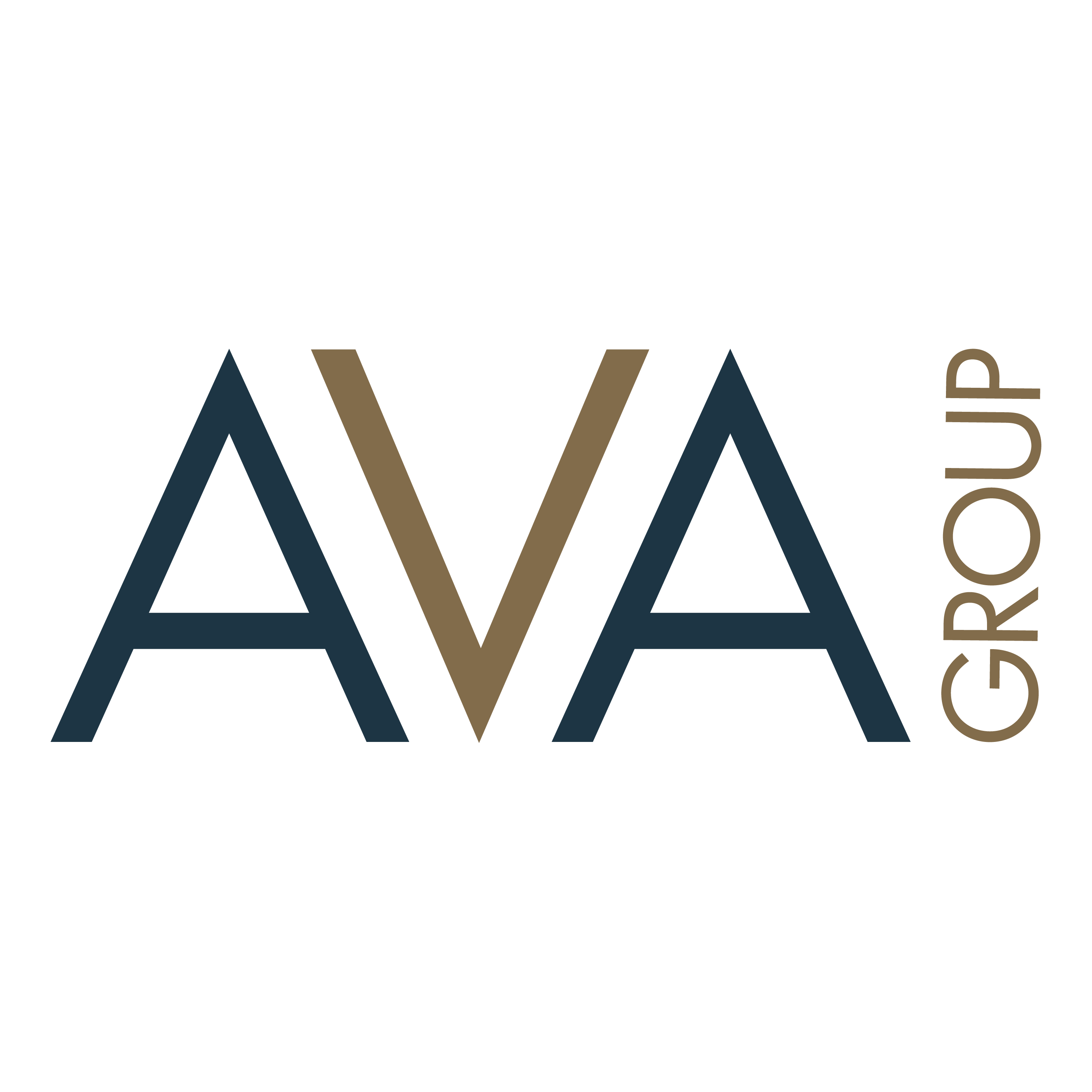 Ava Group About The Ava Group Security Risk Management